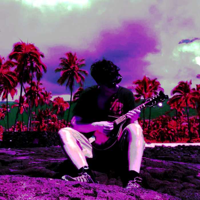 Hawaii Mandolin Tour by The Danbury Lie: 11 Solo Improvisations Recorded at Parks and Beaches throughout The Aloha State