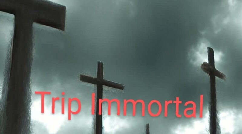 Where Riveting Becomes Revolutionary- Trip Immortal Presents Blend of Christian Faith, Metal, and Hip Hop